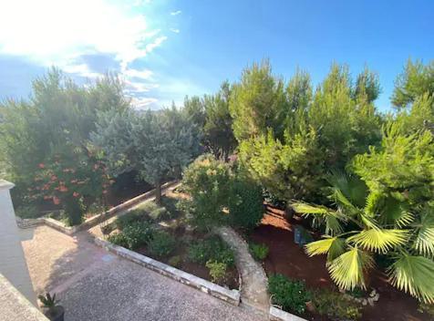 Villa Adelaide Ceglie Messapica Exterior foto